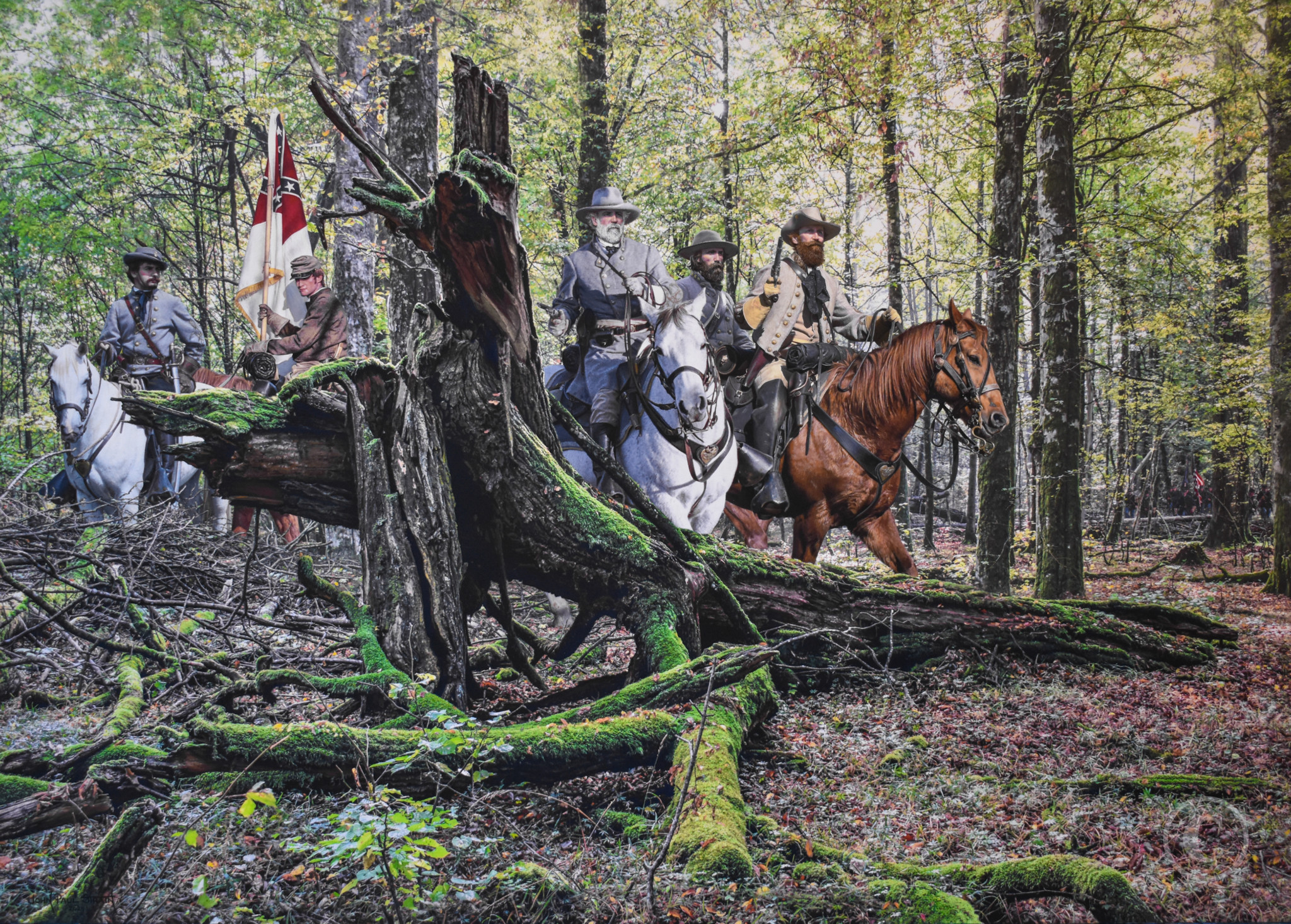 The Wilderness